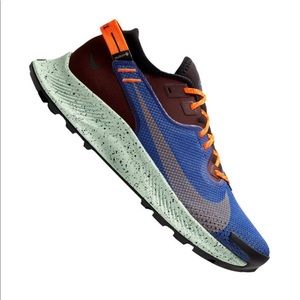 Nike Pegasus Trail Goretex Running Shoes